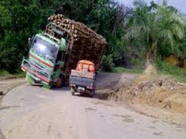 Masuk Ke Kawasan Hutan Larangan Truk Ini Ditangkap Polisi