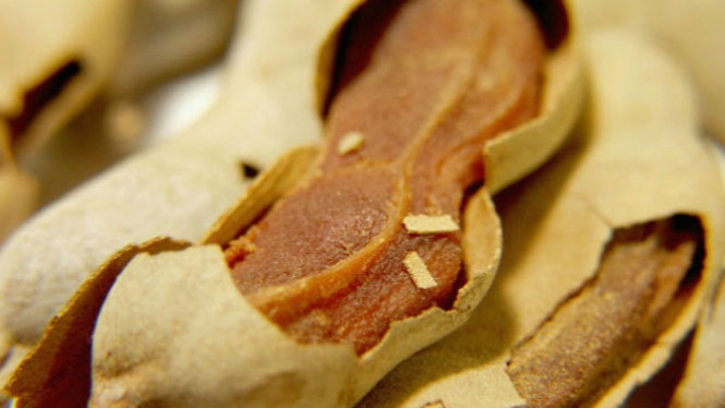 Ingin Organ Hati 20 Tahun Lebih Muda? Konsumsi Buah Ini