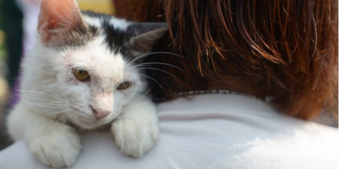 Duh! Hanya 8 Provinsi di Indonesia yang Bebas Rabies, Ini Daftarnya