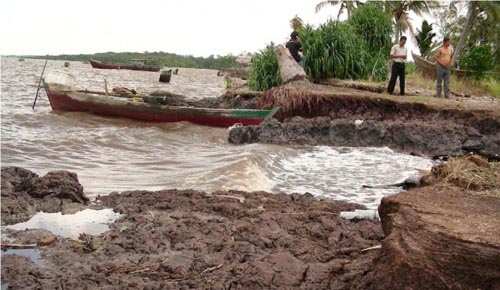 Terungkap! Usulan Pembangunan Penanggulangan Abrasi Pantai di Era Bupati Amril Mukminin 
