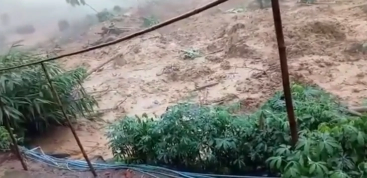 Ngeri, Video Lumpur Bergerak Bikin Hutan Luluh Lantak