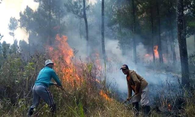 Lima Hari Berjibaku Dengan Api, Satgas Berhasil Padamkan Karhutla Pelalawan