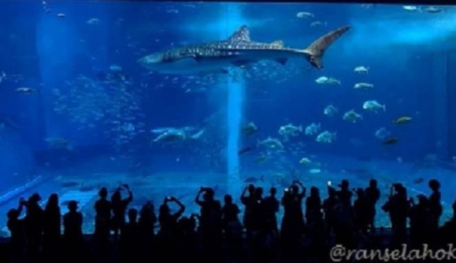 Serunya Jalan- Jalan ke Okinawa Jepang