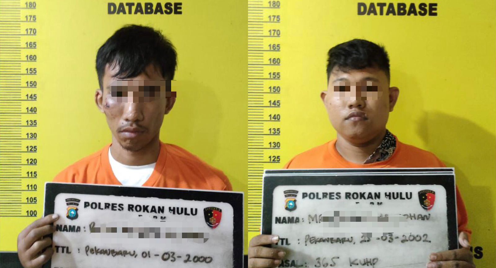 Sat Reskrim Polres Rohul Berhasil Tangkap Dua Pelaku Jambret