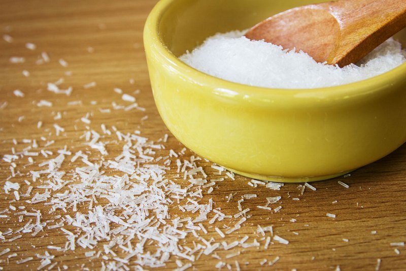 Bisakah MSG Jadi Pengganti Garam?