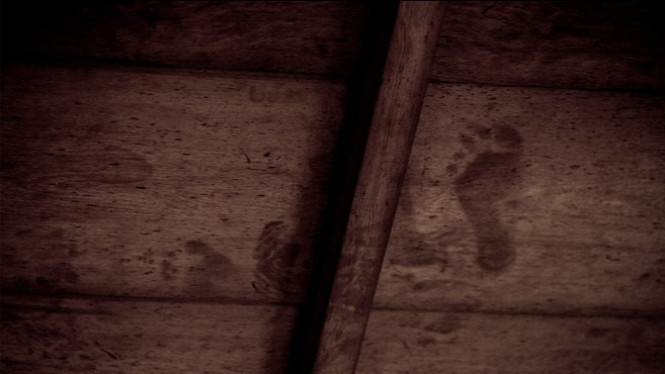 Misteri Noda Darah di Langit-langit Kastil Kyoto