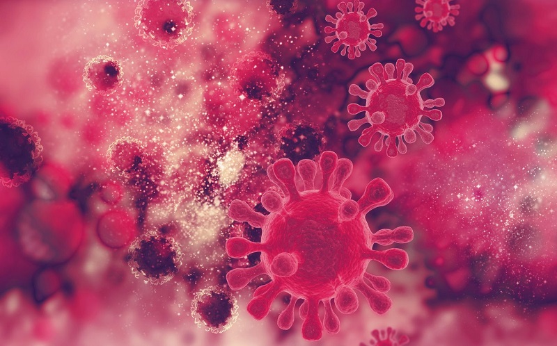 Terkait Munculnya Varian Baru Corona E484K, Ini Upaya yang Dilakukan Pemerintah