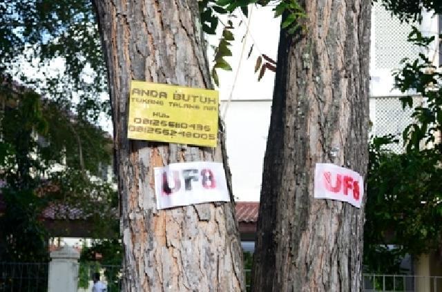 Banyak Reklame Liar Terpasang Di Pohon, Dewan Minta Pemko Pasang Himbauan Larangan