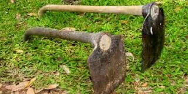 5 Pro kontra Indonesia impor cangkul dari China