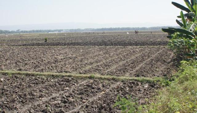 Tahun Ini Dana Desa Capai Rp46,8 Triliun