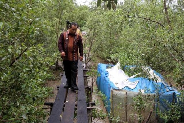 Bupati Irwan : Honorer Pun Bisa Rekrut Honorer, Hentikan!