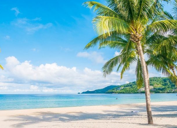 Setengah dari Jumlah Pantai di Dunia Bisa Hilang di Tahun 2100