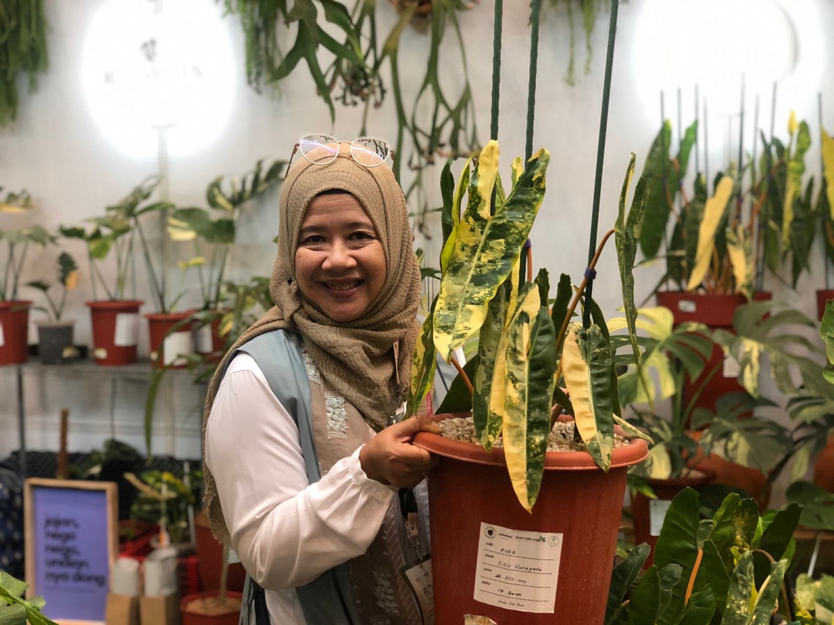 Dibanderol Rp1,8 Miliar, Begini Penampakan Tanaman Hiasnya