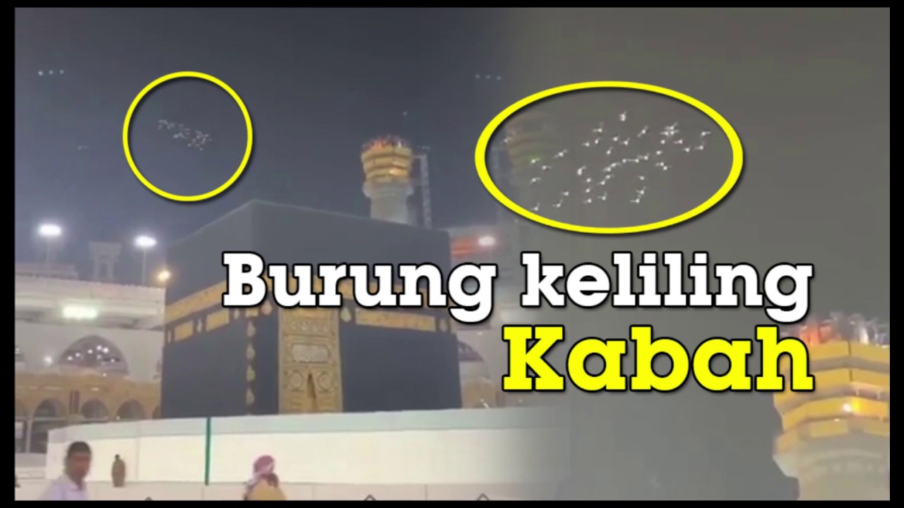 Pakar Telematika PastikanVideo Sekelompok Burung Putih Seolah Tawaf di Atas Kakbah Nyata