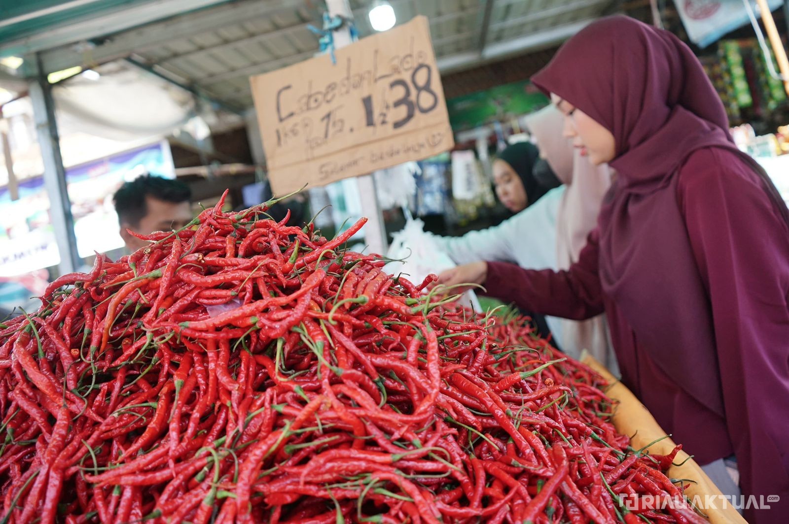 Imbas Gagal Panen, Harga Cabai Merah di Pekanbaru Meroket Hingga Rp80.000 per Kilogram