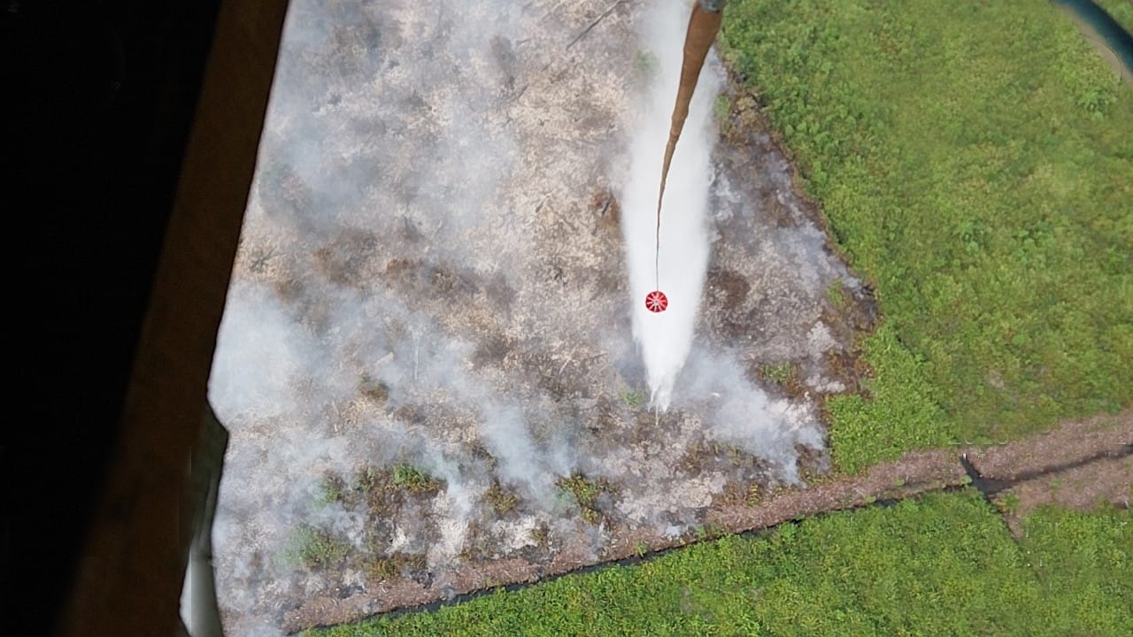 156 Titik Panas Terdeteksi di Riau Jumat Pagi, Rohil dan Rohul Terbanyak