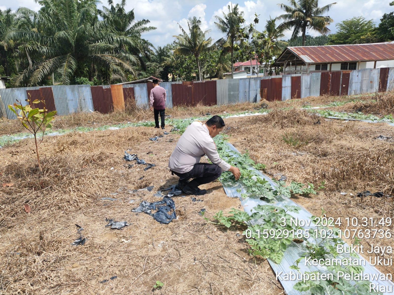 Bhabin Ukui Pantau Lahan Ketahanan Pangan, Pastikan Program Berjalan Optimal