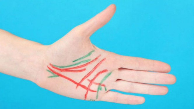 Punya Banyak Garis di Telapak Tangan? Ini Artinya