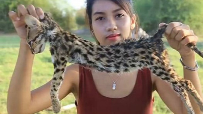 Kuliti Kucing Hampir Punah, Wanita Cantik Diciduk Polisi