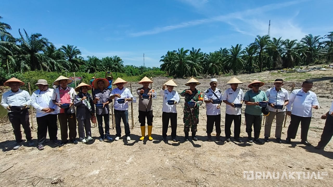 Penanaman Jagung Kuartal IV, Polsek Rimba Melintang Dukung Swasembada di Rohil