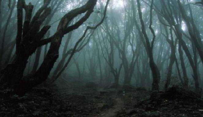 Empat Alasan Banyak Orang Bunuh Diri di Hutan Aokigahara