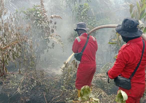 Karhutla Kembali Ancam Riau, Lahan Gambut di Dumai Terbakar