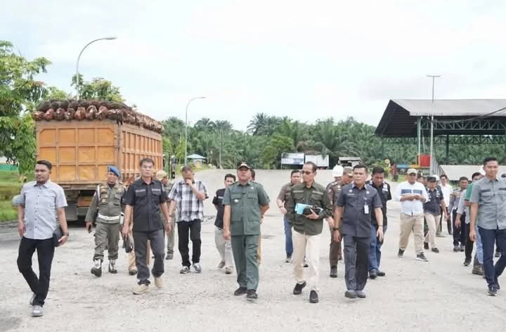 PKS dan Pemilik Lahan di Kawasan Hutan Kuansing Diminta Urus Izin