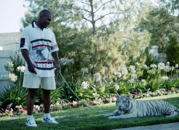 Macan Peliharaannya Gigit Tetangga, Tyson: Dia yang Salah, Saya Bayar Rp4 Miliar