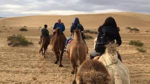 Karena Ada Satu Pasien Virus Corona, Mongolia Langsung Isolasi Seluruh Negeri