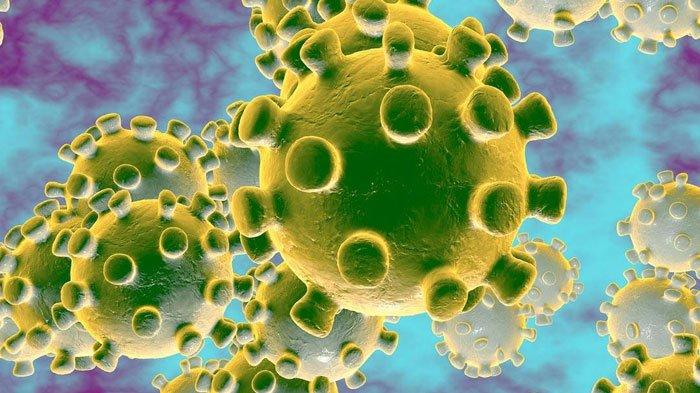 Tipe Corona di Indonesia Ternyata Beda dari Dunia