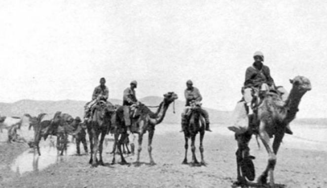 10 Hewan Ini Ternyata Pernah Dimanfaatkan dalam Perang