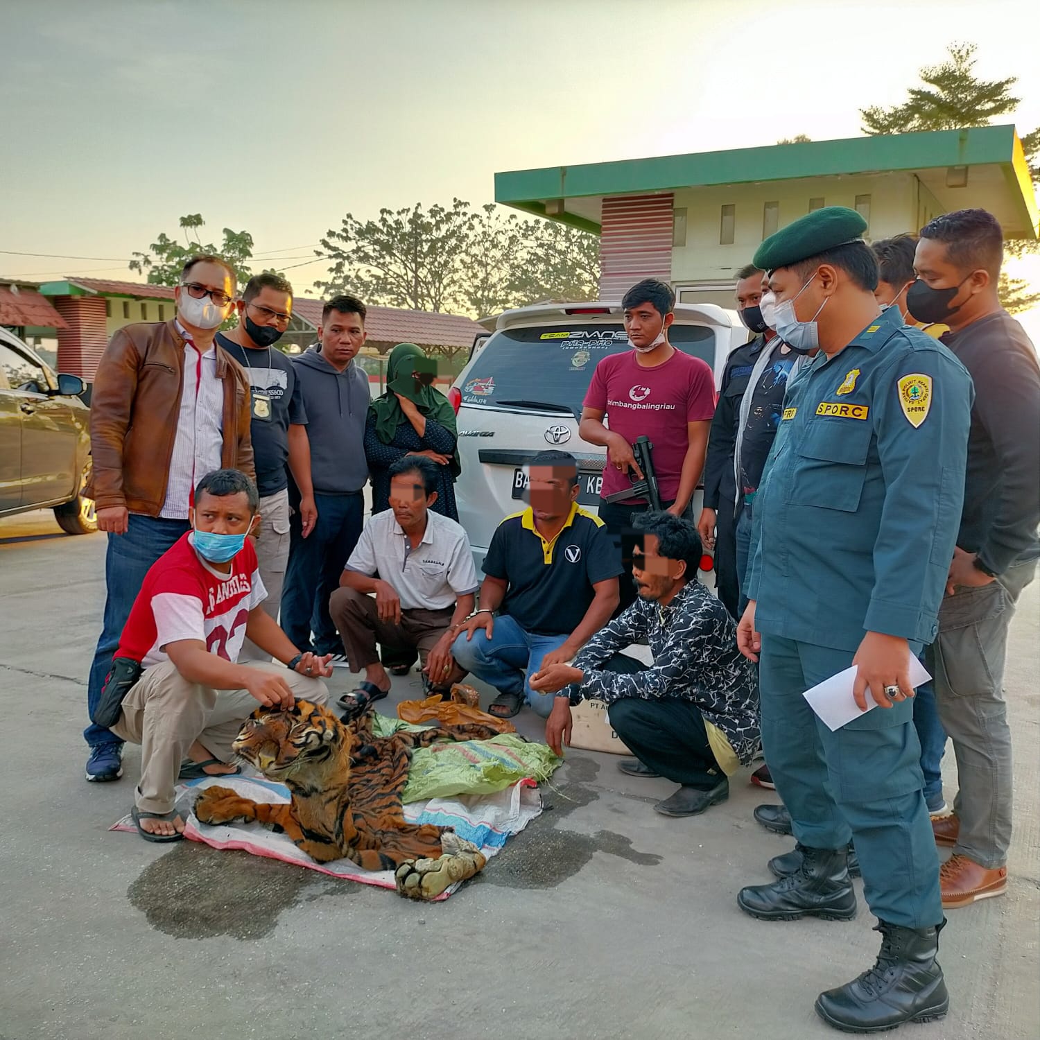 Perdagangan Kulit Harimau Digagalkan, Tim Giring Empat Penjual ke Kantor Polisi