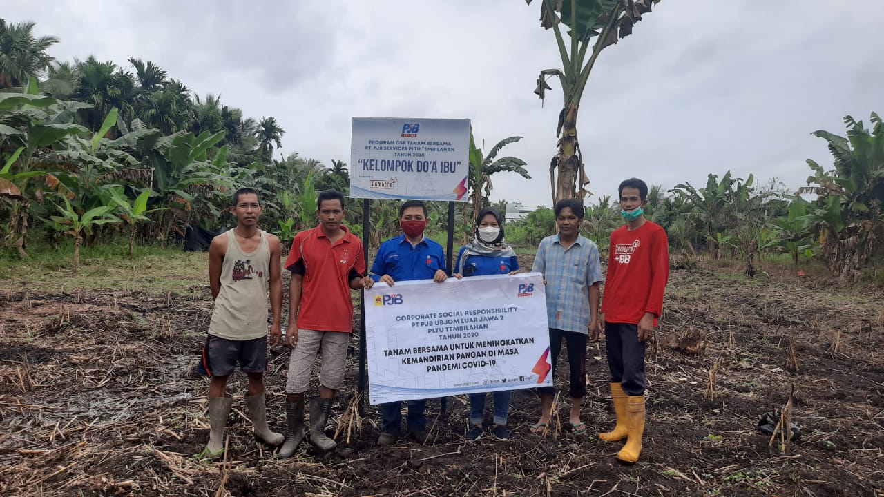 Tingkatkan Kemandirian Pangan Masyarakat, PLTU Tembilahan Taja Gerakan Tanam Bersama