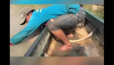 Terseret Hingga ke Dalam Air, Tangkapan Nelayan Ini Bikin Kaget