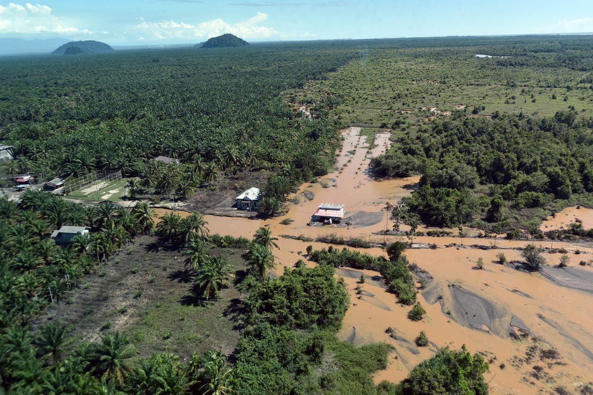 Petani Sawit Terdampak Bencana di Aceh Harapkan Bantuan Pupuk dari BPDP
