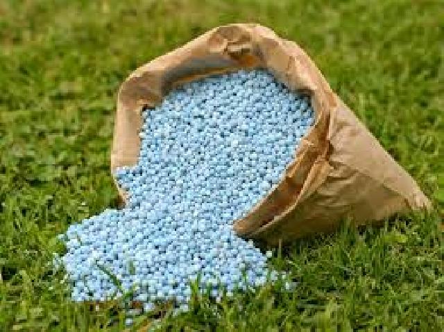 Petani yang Mau Pupuk Harus Melalui Kelompok Tani