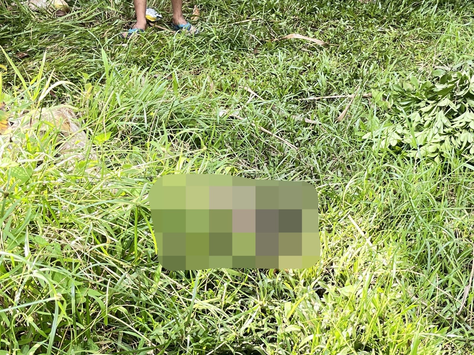 Jasad Bayi Malang Ditemukan Membusuk di Lahan Kosong Warga Meranti