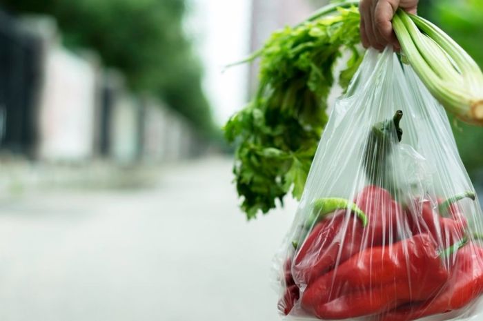 Tahun 2020, Pemko Pekanbaru Larang Pusat Perbelanjaan Sediakan Kantong Plastik 