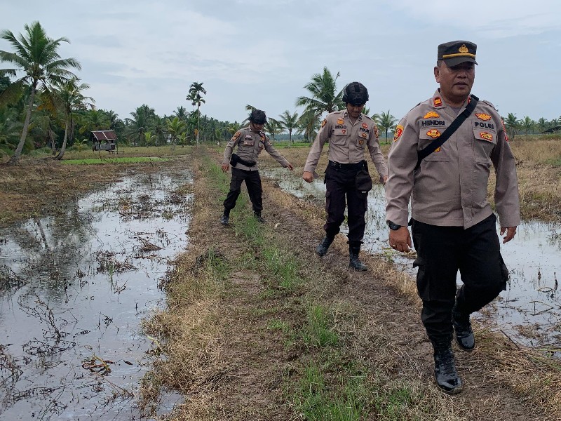 Jalan Kaki Lewat Persawahan, Kapolsek Sungai Batang Sosialisasi Pemilu Damai 2024