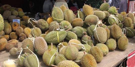 Ternyata Durian Nol Kolesterol, Tapi Ada Aturan Konsumsinya