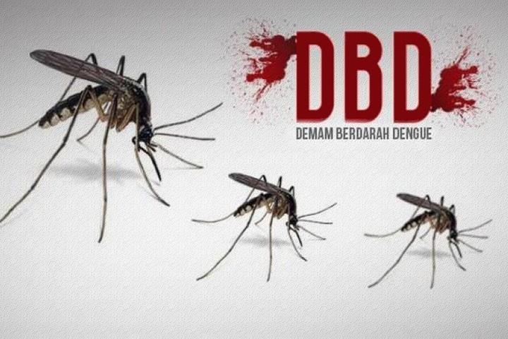 Kemenkes Beberkan 10 Provinsi dengan Sebaran Kasus DBD Tertinggi