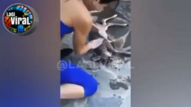 Salut, Wanita Pantang Menyerah Selamatkan Binatang Tenggelam