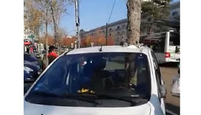 Misteri Pohon 'Teleportasi' yang Menancap Mobil di Tempat Parkir