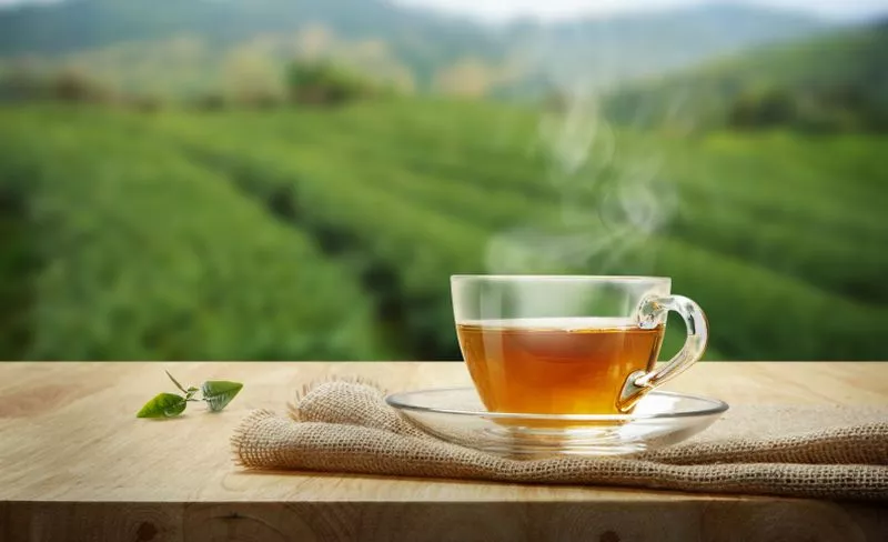 Penelitian Ungkap Khasiat Mengonsumsi Teh Secara Rutin