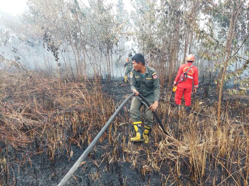 Petugas Manggala Agni dan TNI Berjibaku Padamkan Kebakaran Lahan di Kampar