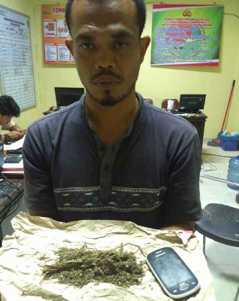Miliki Daun Ganja Kering, Pria Simpang Tiga diamankan Polisi