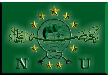 Balon Gubri Riau Dilarang Gunakan Logo NU untuk Politik