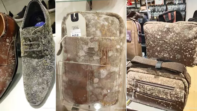 2 Bulan Tutup Akibat Lockdown, Tas dan Sepatu di Mal Dipenuhi Jamur