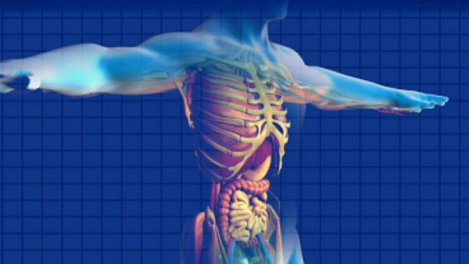 Awas, Kebiasaan Ini Picu Kanker Ginjal yang Mematikan