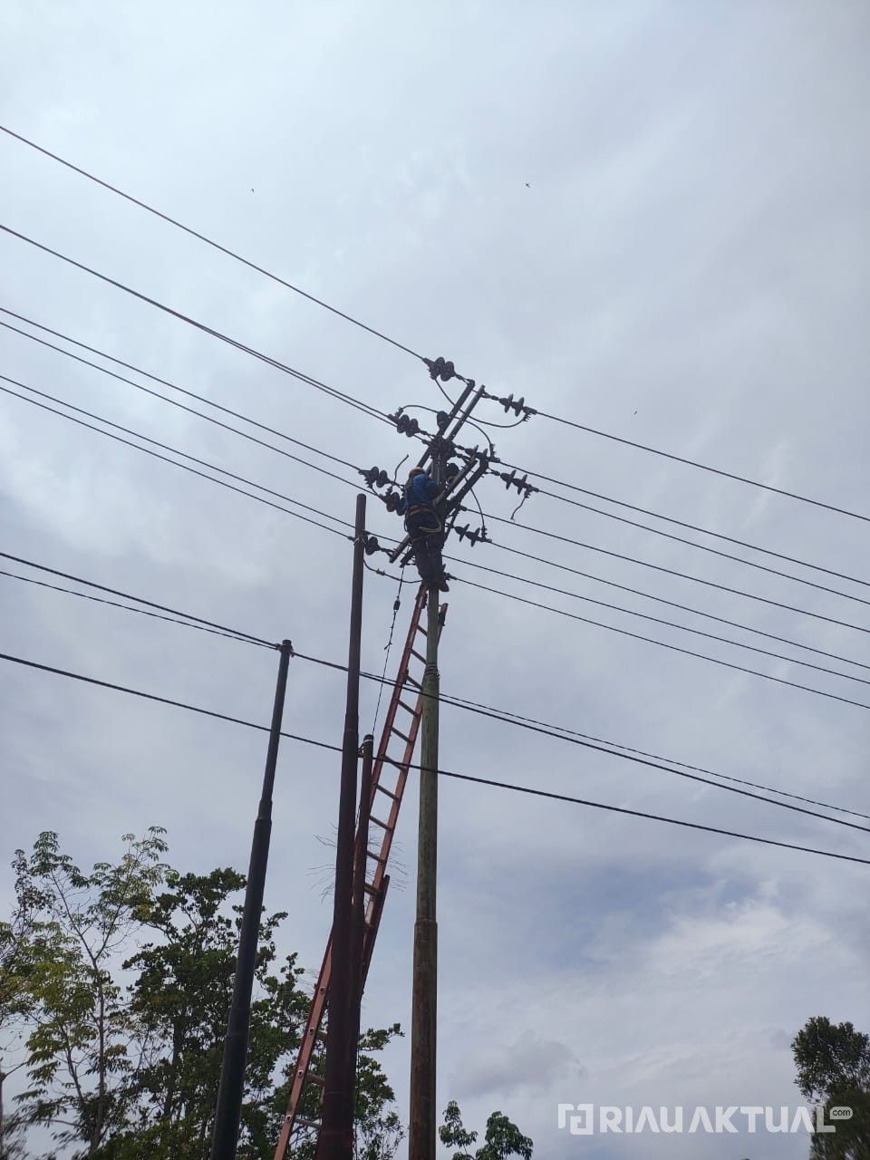 Gerak Cepat PLN Pulihkan Listrik Ribuan Warga Kampar Terdampak Puting Beliung